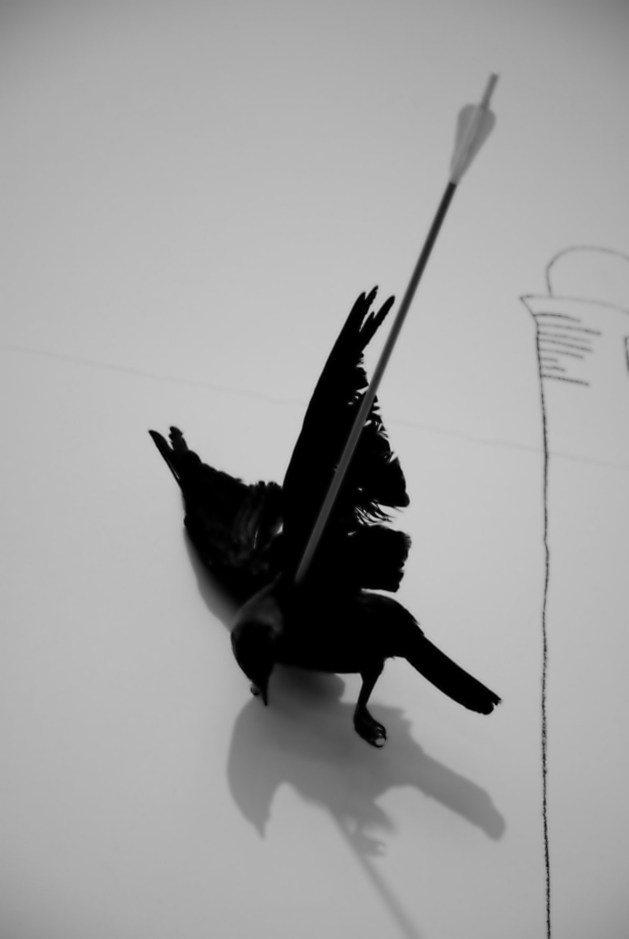Archillect ID 61673