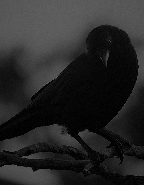 Archillect ID 61763