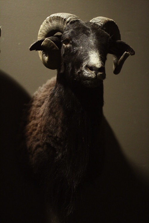 Archillect ID 62105