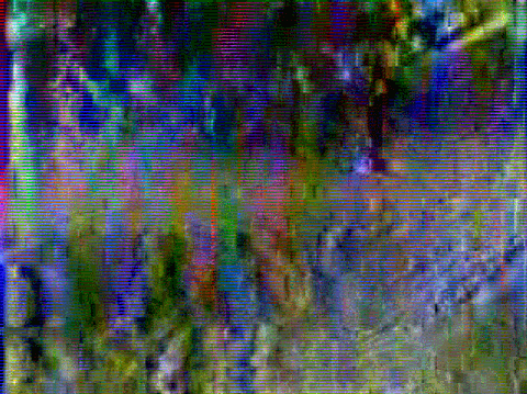 Archillect ID 62112