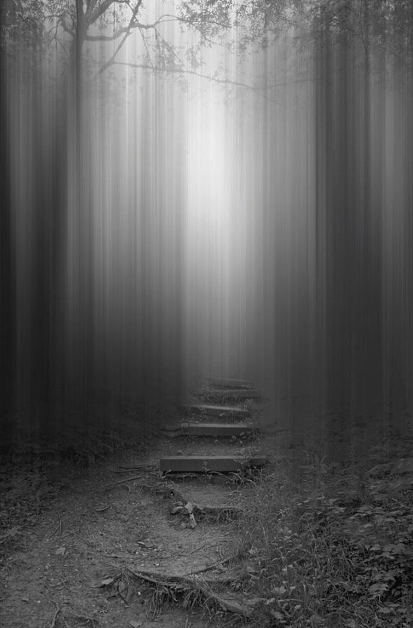 Archillect ID 62163