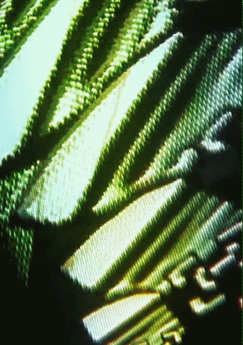 Archillect ID 62266