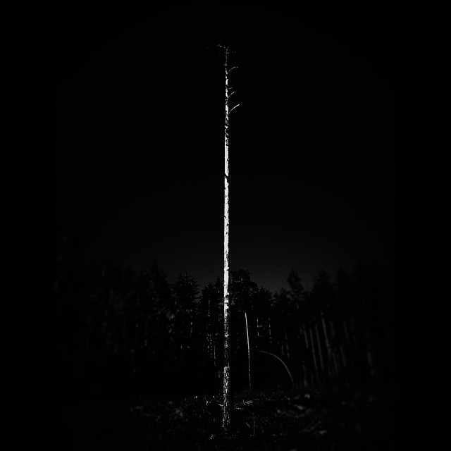 Archillect ID 62360
