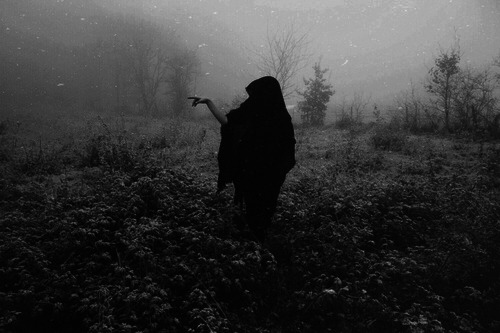 Archillect ID 62398