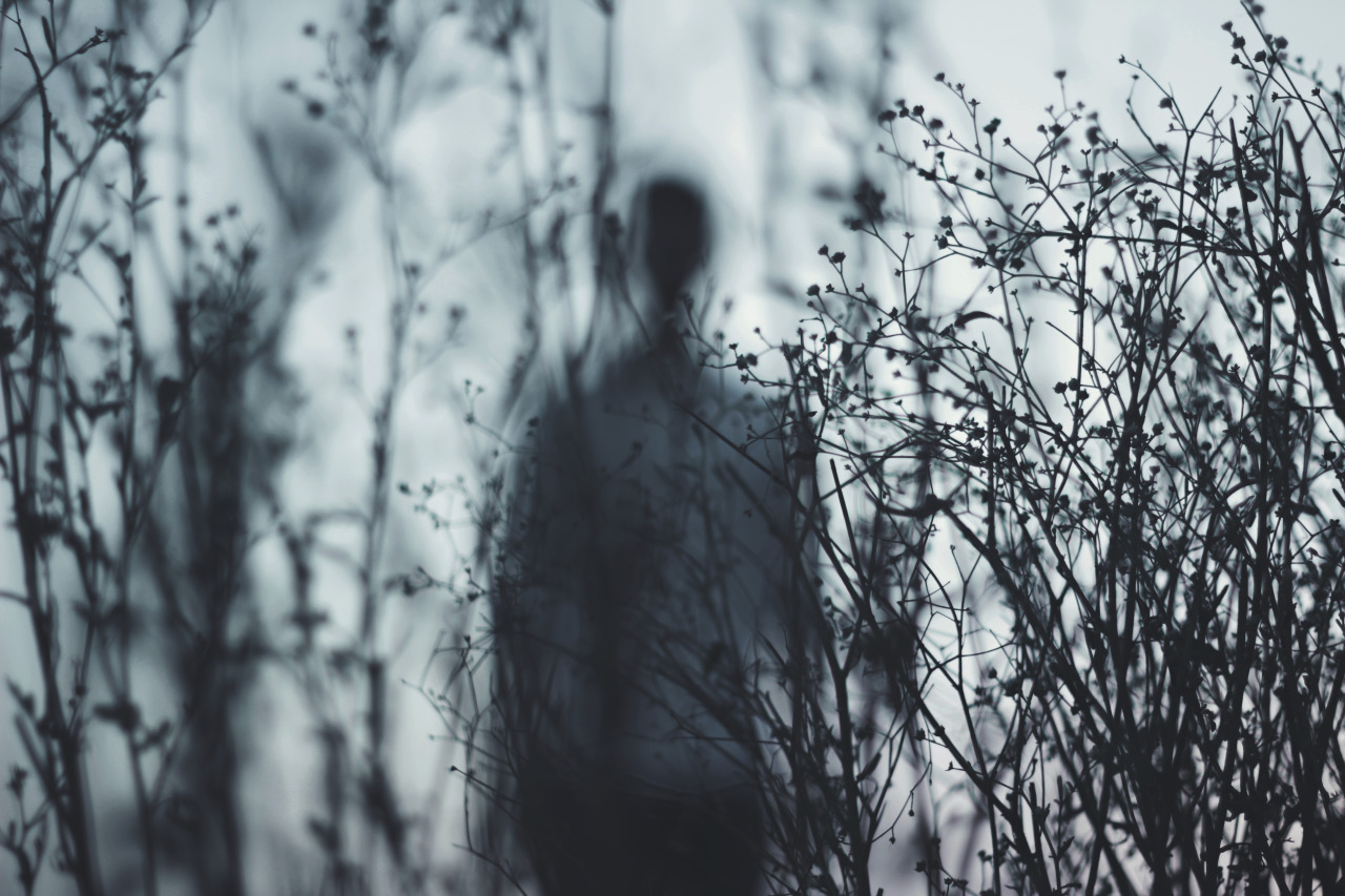 Archillect ID 62477