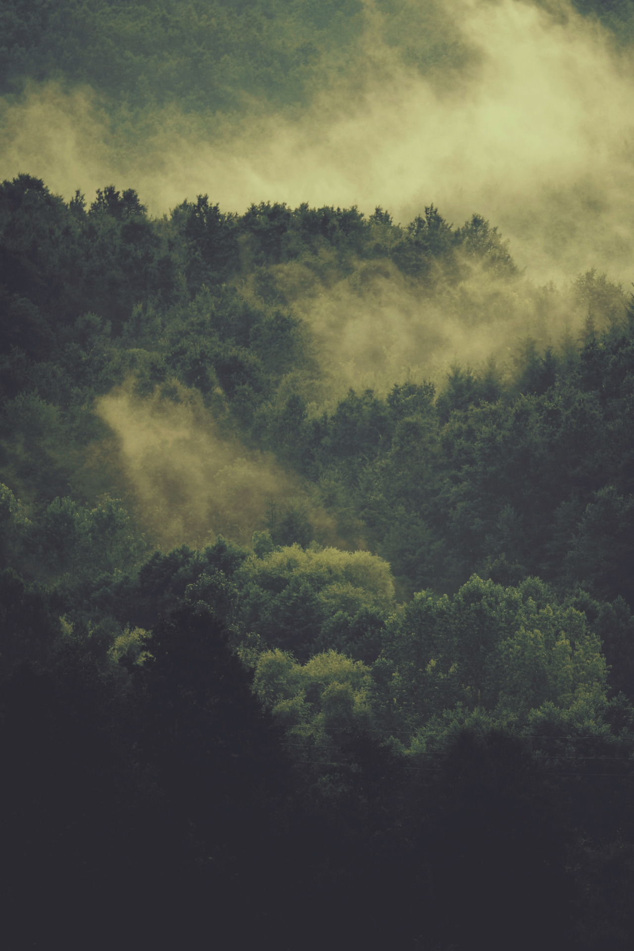 Archillect ID 62645