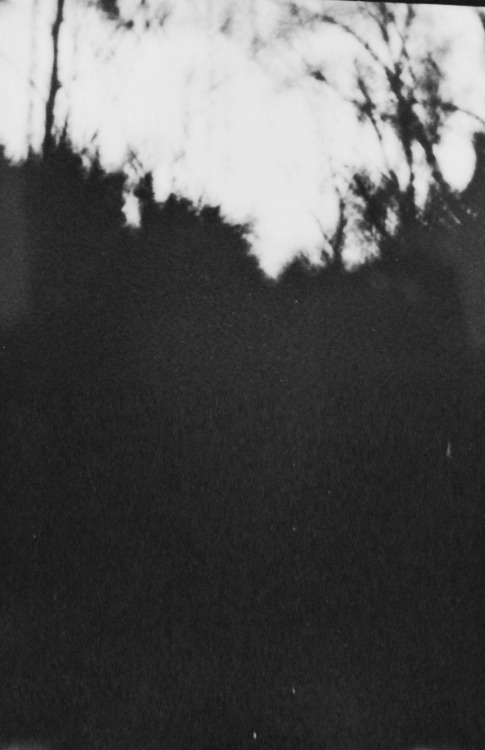 Archillect ID 62650
