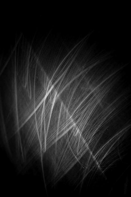 Archillect ID 62695