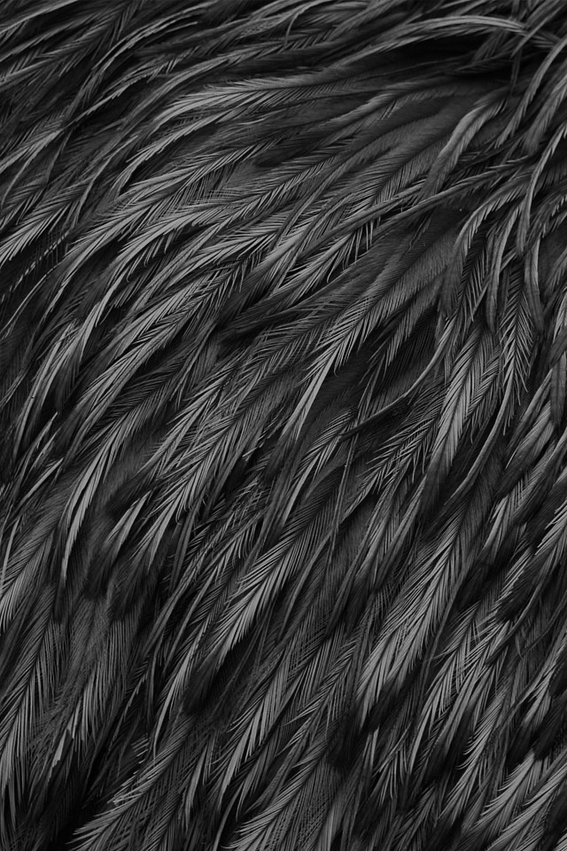 Archillect ID 62799