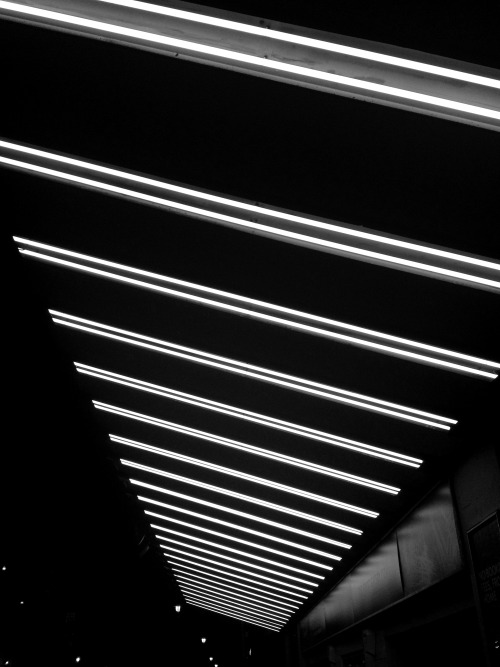 Archillect ID 62973