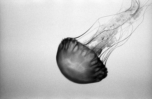 Archillect ID 62983