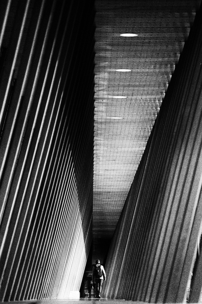 Archillect ID 63007