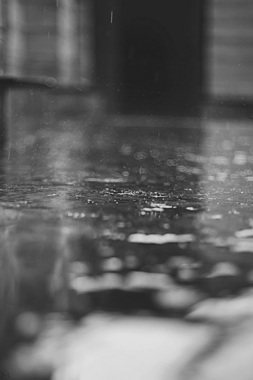 Archillect ID 63095