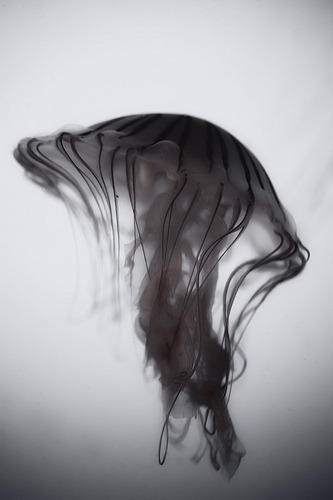 Archillect ID 63166