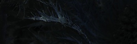 Archillect ID 63188