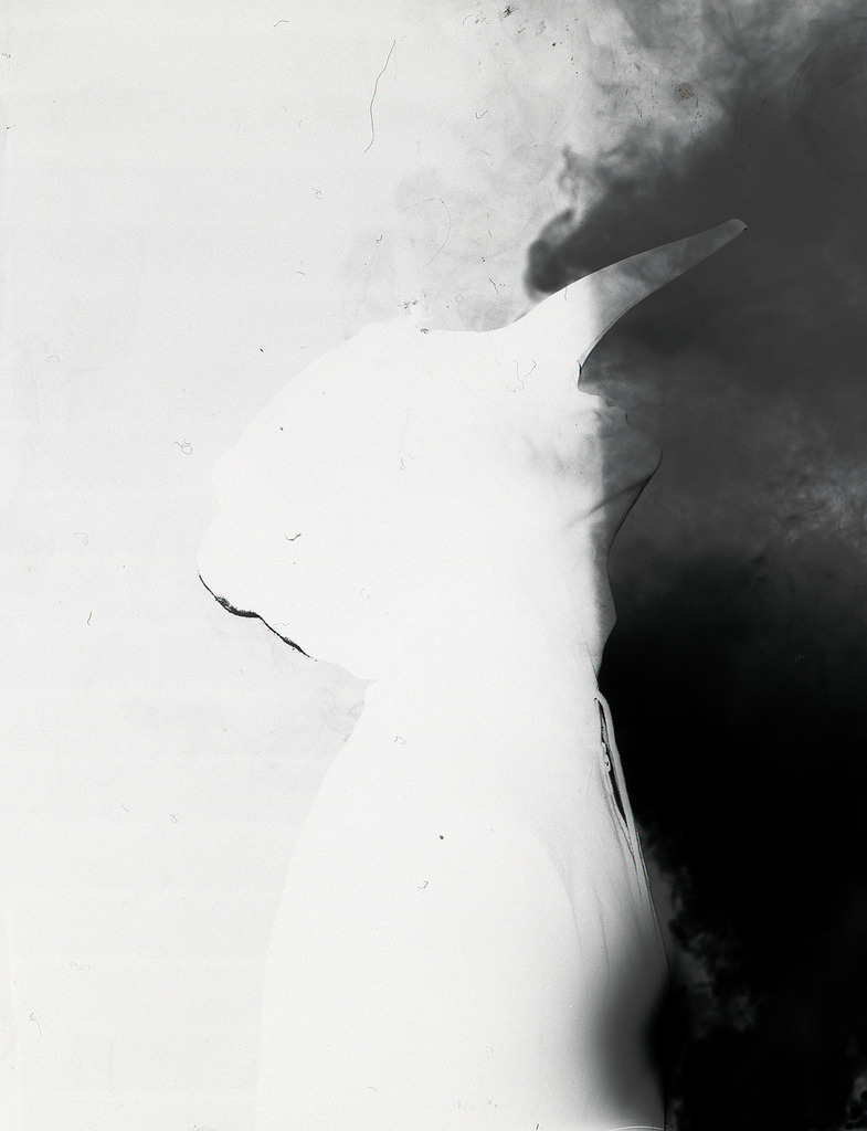 Archillect ID 63324