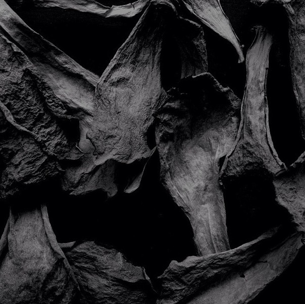 Archillect ID 63326