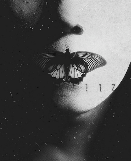 Archillect ID 63329