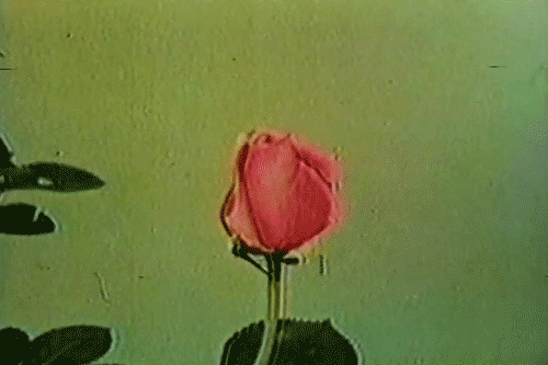 Archillect ID 63397