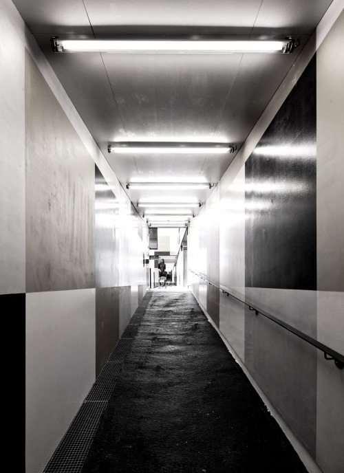 Archillect ID 63437