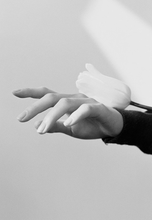 Archillect ID 63488