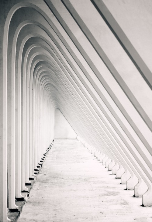 Archillect ID 63495