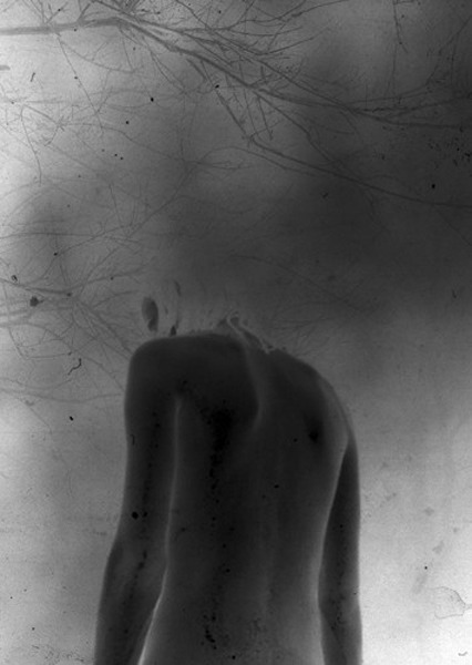 Archillect ID 63532