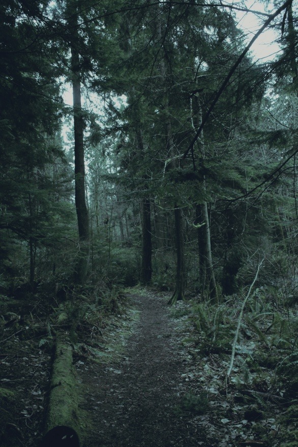 Archillect ID 63625