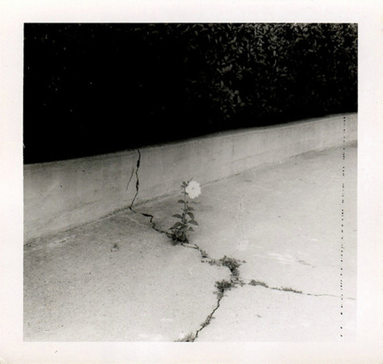 Archillect ID 63626