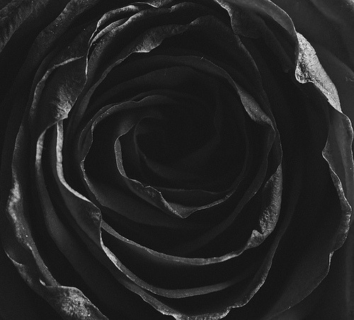 Archillect ID 63694