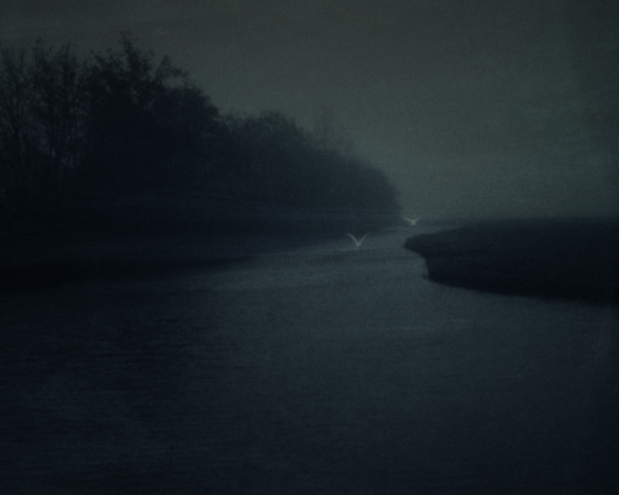 Archillect ID 63703