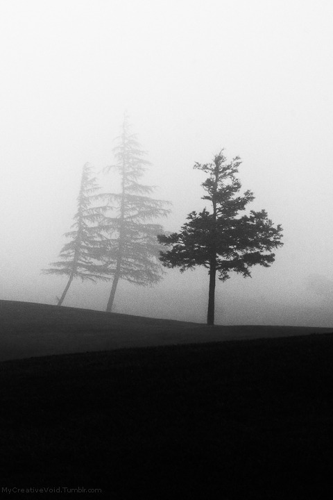 Archillect ID 63706