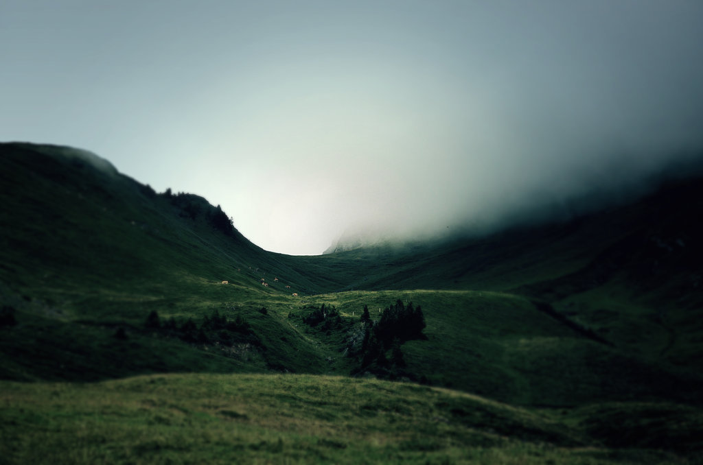 Archillect ID 63747