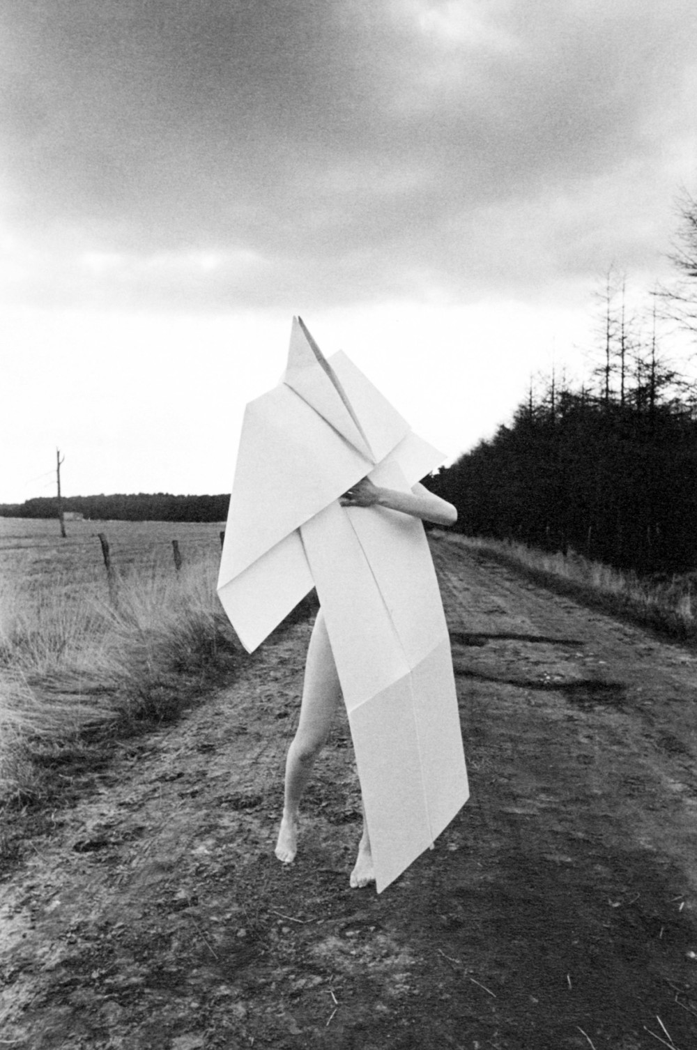 Archillect ID 63751
