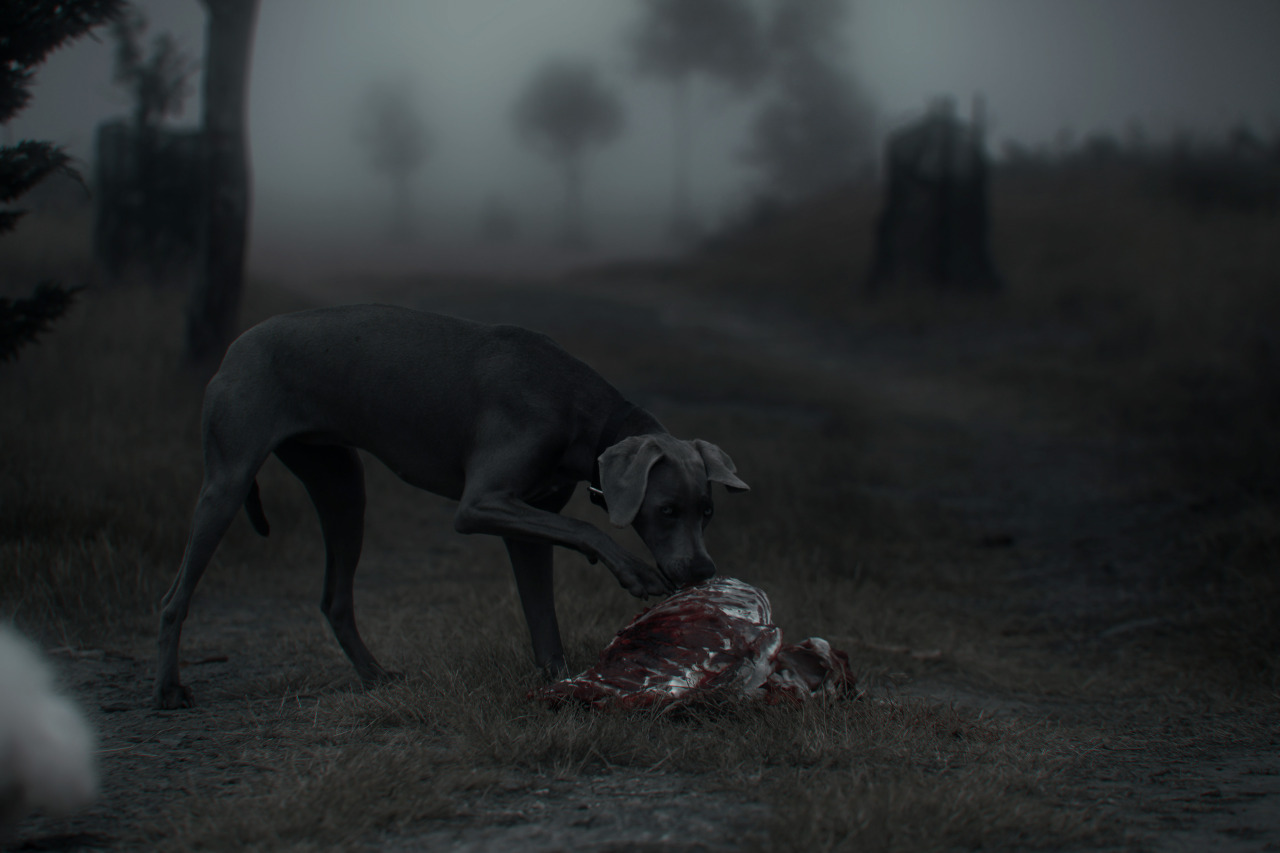Archillect ID 63788