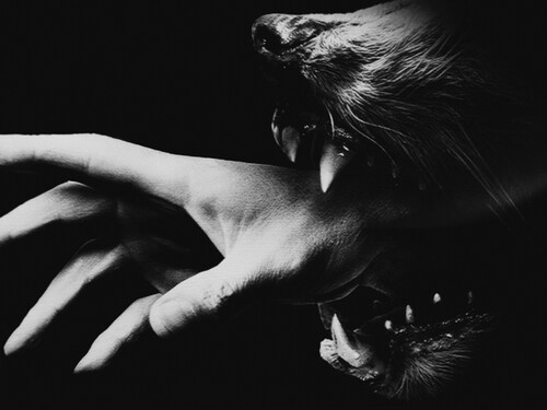 Archillect ID 63819