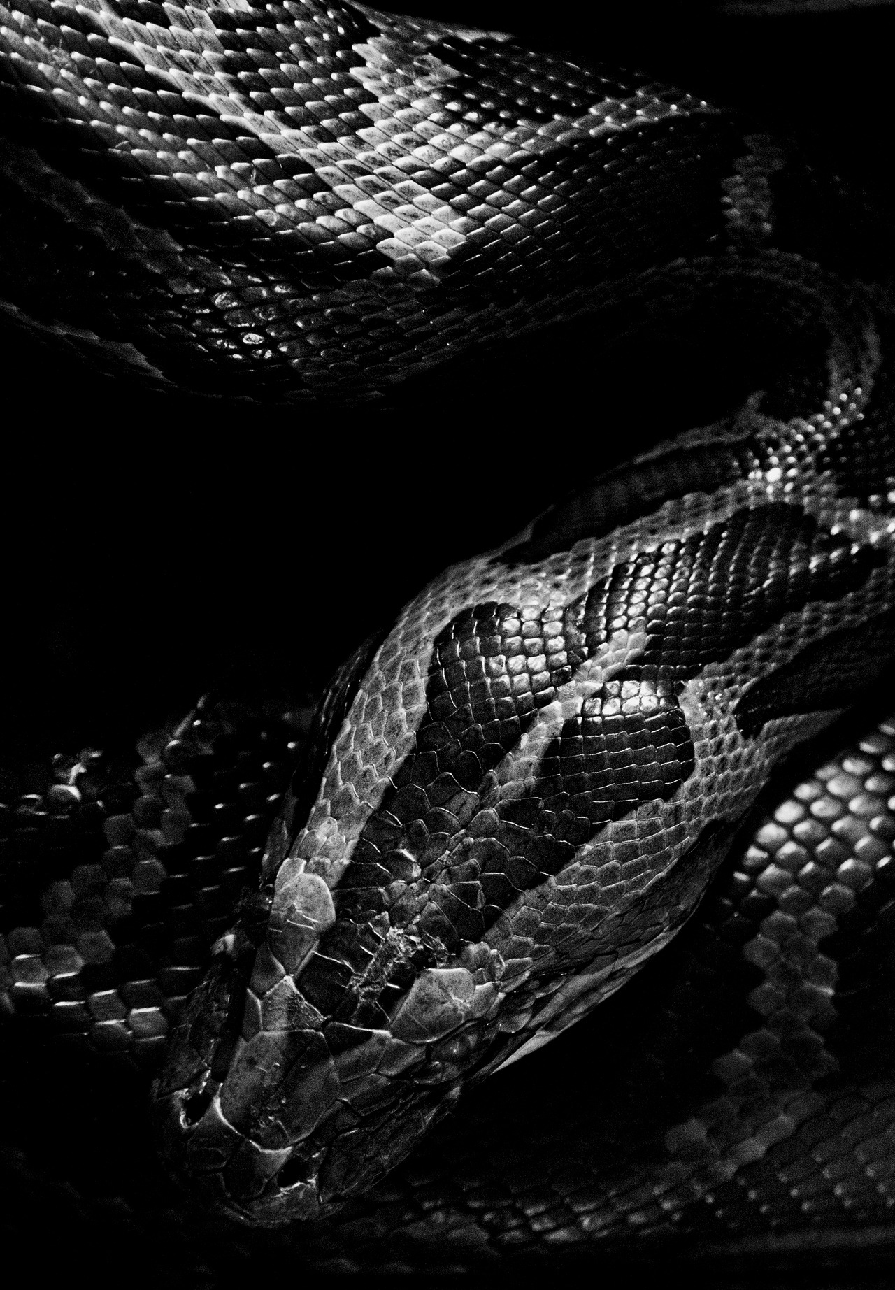 Archillect ID 63924