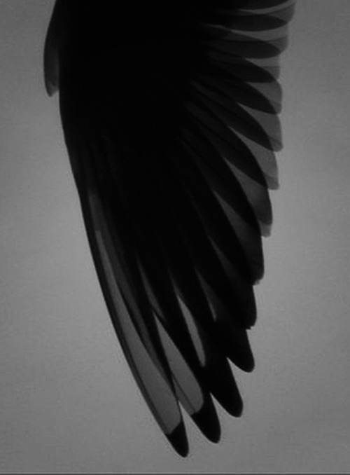 Archillect ID 63991