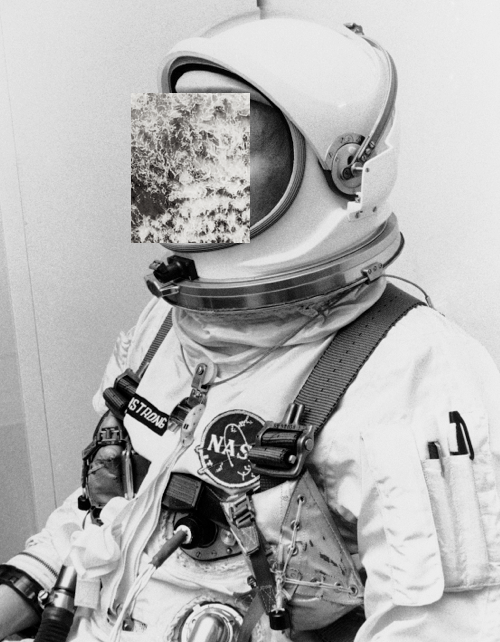 Archillect ID 63996