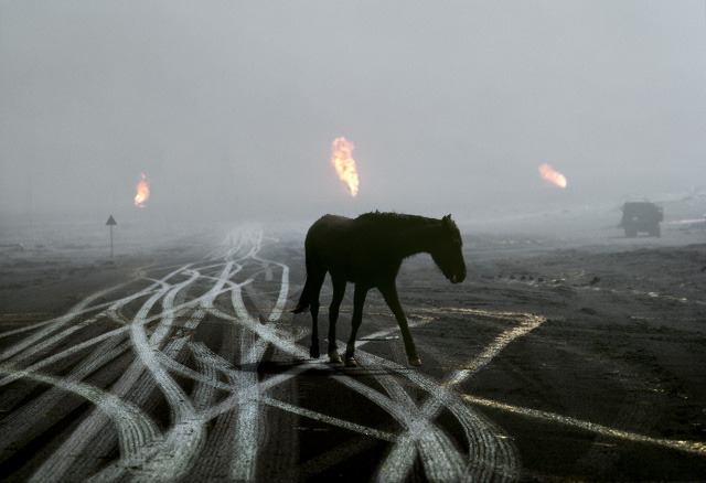 Archillect ID 64136