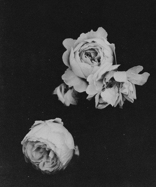 Archillect ID 64164