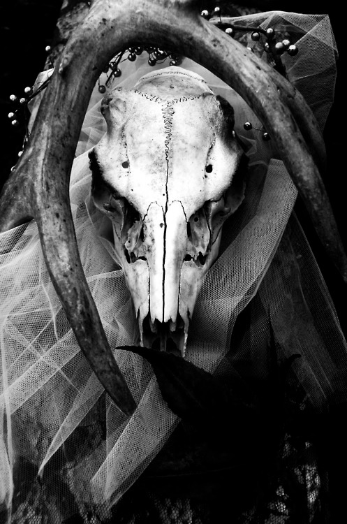 Archillect ID 64243