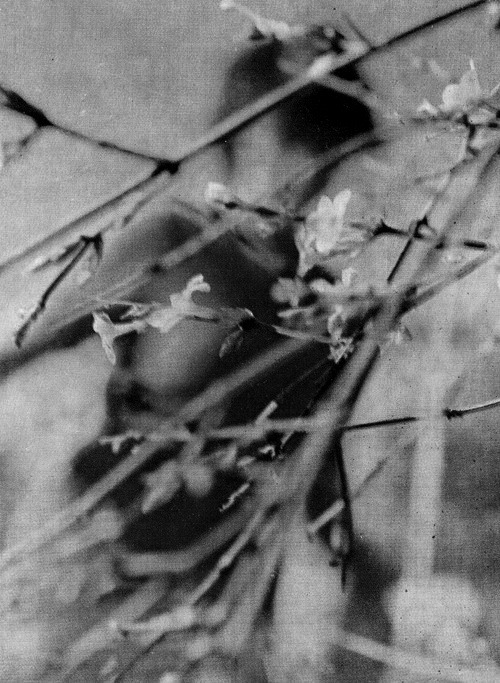 Archillect ID 64280