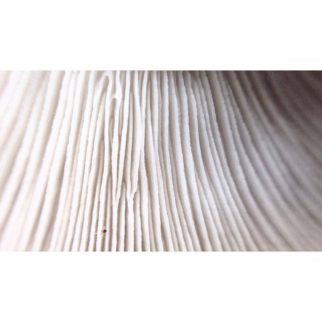 Archillect ID 64298