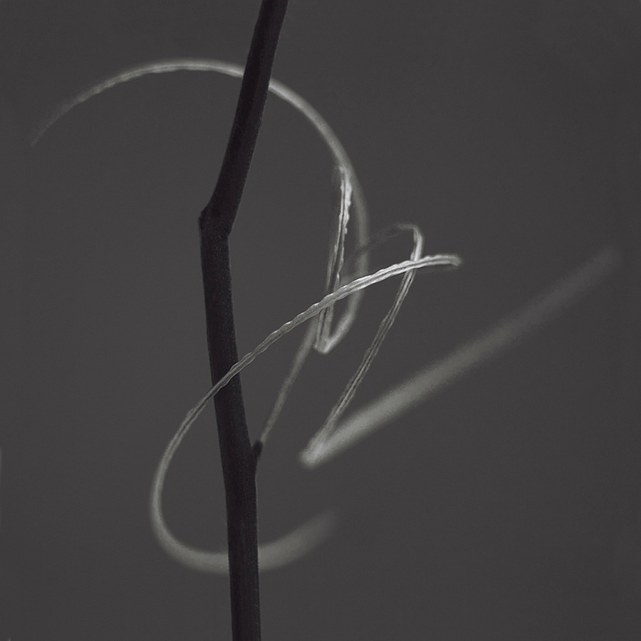 Archillect ID 64439