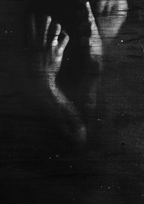 Archillect ID 64447