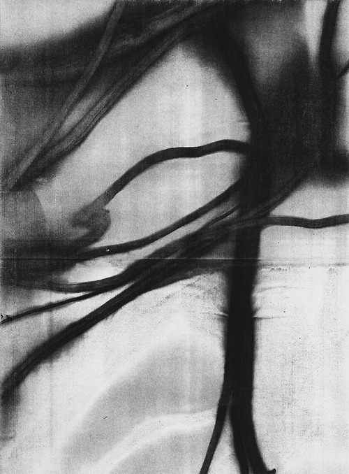 Archillect ID 64488