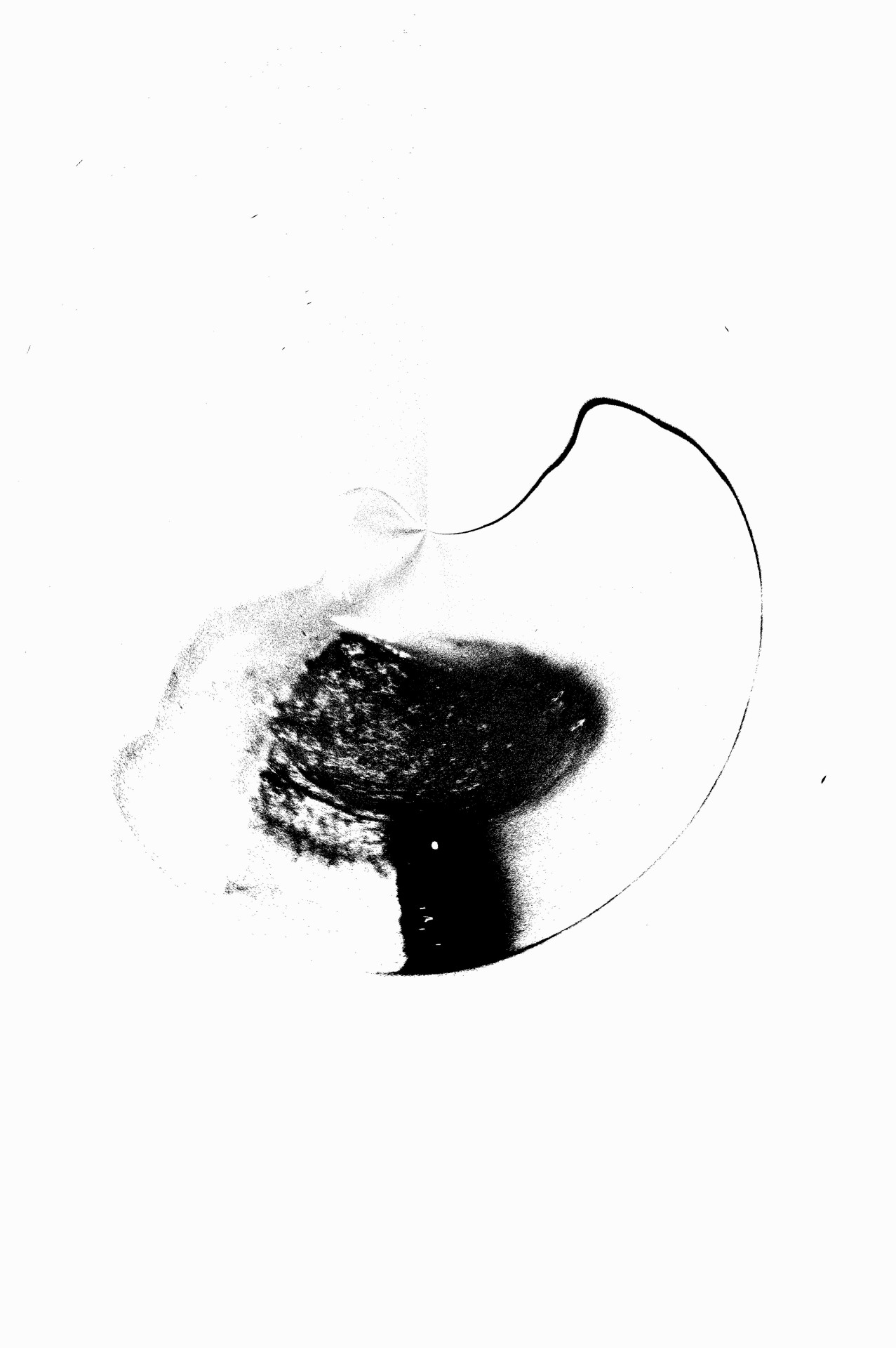 Archillect ID 64512