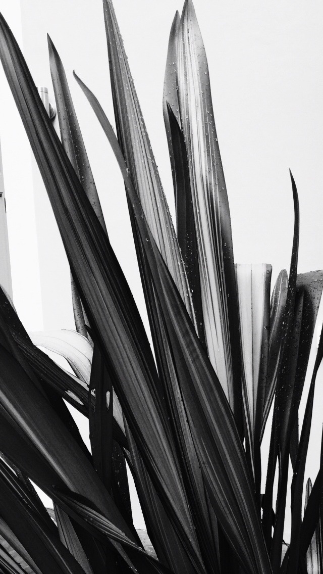 Archillect ID 64525