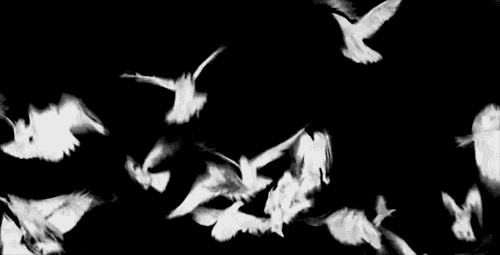 Archillect ID 64558